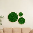 thumbnail image 1 of Luxury Home Interior Design Nature's Geometry - Round Combination Moss Art Hanging Frame 3 pcs Set, 1 of 6