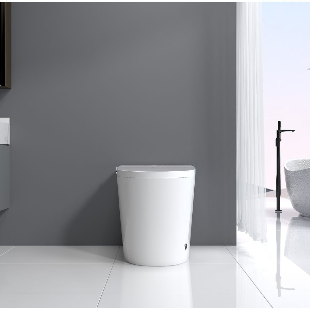 White High Efficiency Intelligent Smart Toilet with Heated Bidet Seat