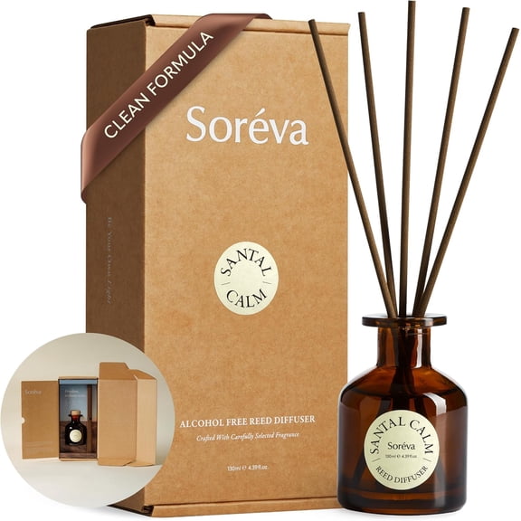 Luxury Reed Diffuser Set, Relaxing Sage and Sea Salt, Alcohol-Free Botanical Oils, Long Lasting 3-4 Months, Aromatherapy Home Fragrance for Bedroom & Office, Gift Set with 7 Sticks, 4.39 fl oz