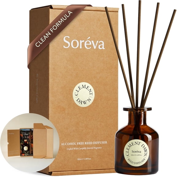 Luxury Reed Diffuser Set, Relaxing Sage and Sea Salt, Alcohol-Free Botanical Oils, Long Lasting 3-4 Months, Aromatherapy Home Fragrance for Bedroom & Office, Gift Set with 7 Sticks, 4.39 fl oz