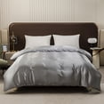 thumbnail image 1 of Luxury Satin Silk Duvet Cover Bedding Summer Cooling Soft Smooth Silky Comforter Cover with Zipper Closure, 79.92x90.16in, Gray, 1 of 6