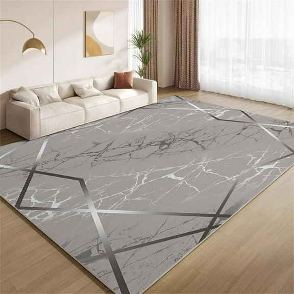 Luxury Silver Gray Area Rugs, Abstract Crack Geometric Carpet, Soft Washable Non Slip Low Pile Rug for Living Room Bedroom Entry Floor Mat 2x3ft