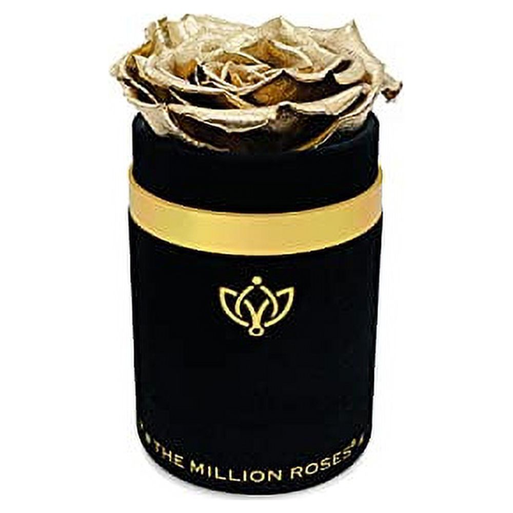  Luxury Single Rose With Black Suede Box Real Roses Long Lasting Preserved Gift