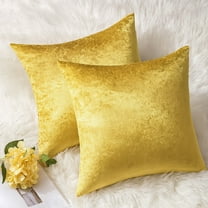 Luxury Velvet Decorative Throw Pillow Covers 2-Pack, Soft Plush Cushion Cases for Couch Sofa Bedroom Living Room Home Décor (Cover Only)