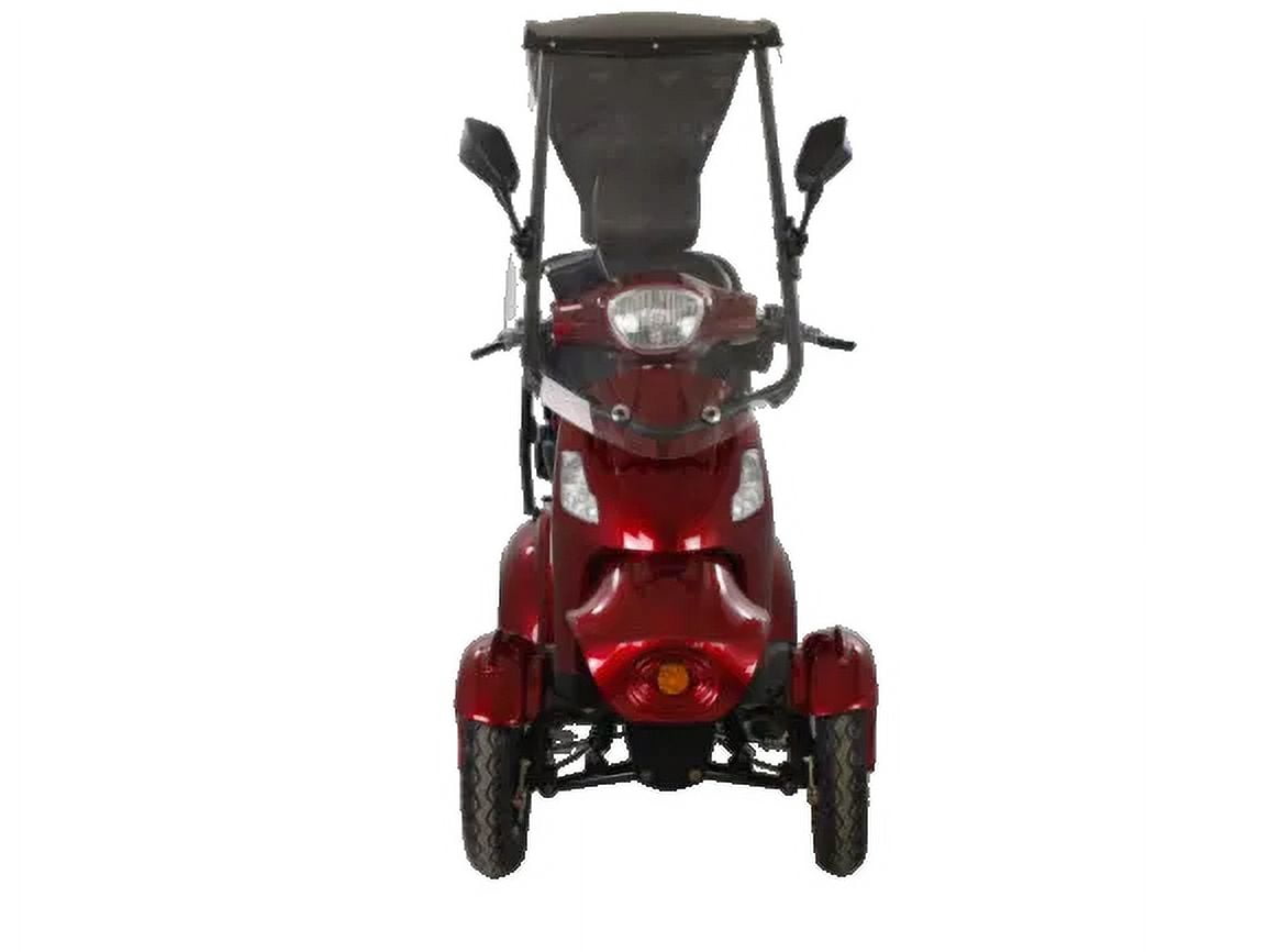 Luxuryton X-1000 4-Wheel Electric Scooter with Canopy Regular Tires & Reverse Camera