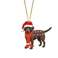 thumbnail image 1 of Luysn 1 Pcs Christmas Chocolate Lab Labrador Ornament 2D Acrylic Hanging Christmas Tree Ornaments Holiday Decorations for Xmas Tree Decor Retriever Gifts for Labrador Lovers, 1 of 7