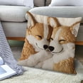 thumbnail image 1 of Lwlmwt Animals Throw Pillow Covers,Cute Animals Print Pillow Set,Soft Velvet Cushion Covers,For Sofa Living Room Decoration, 1 of 5