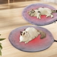 thumbnail image 1 of Lwlmwt Heated Pet Bed 12x12-inch Round Pet Heating Pad Three Temperature Settings Chew-Resistant Cables Suitable for Cats and Small Dogs, 1 of 7
