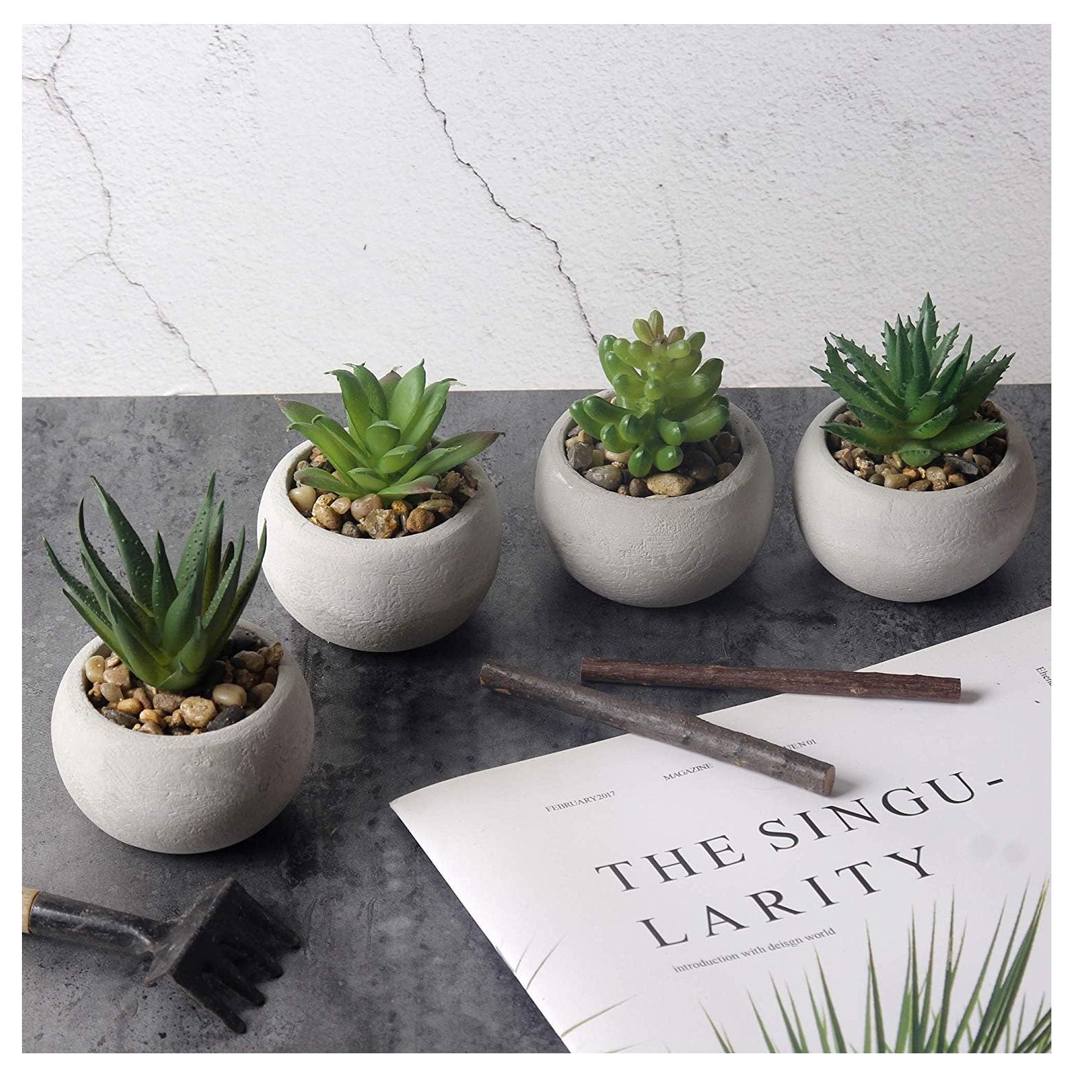 Lwory Mini Potted Artificial Succulents, Faux Cactus Plants in Pot(Set