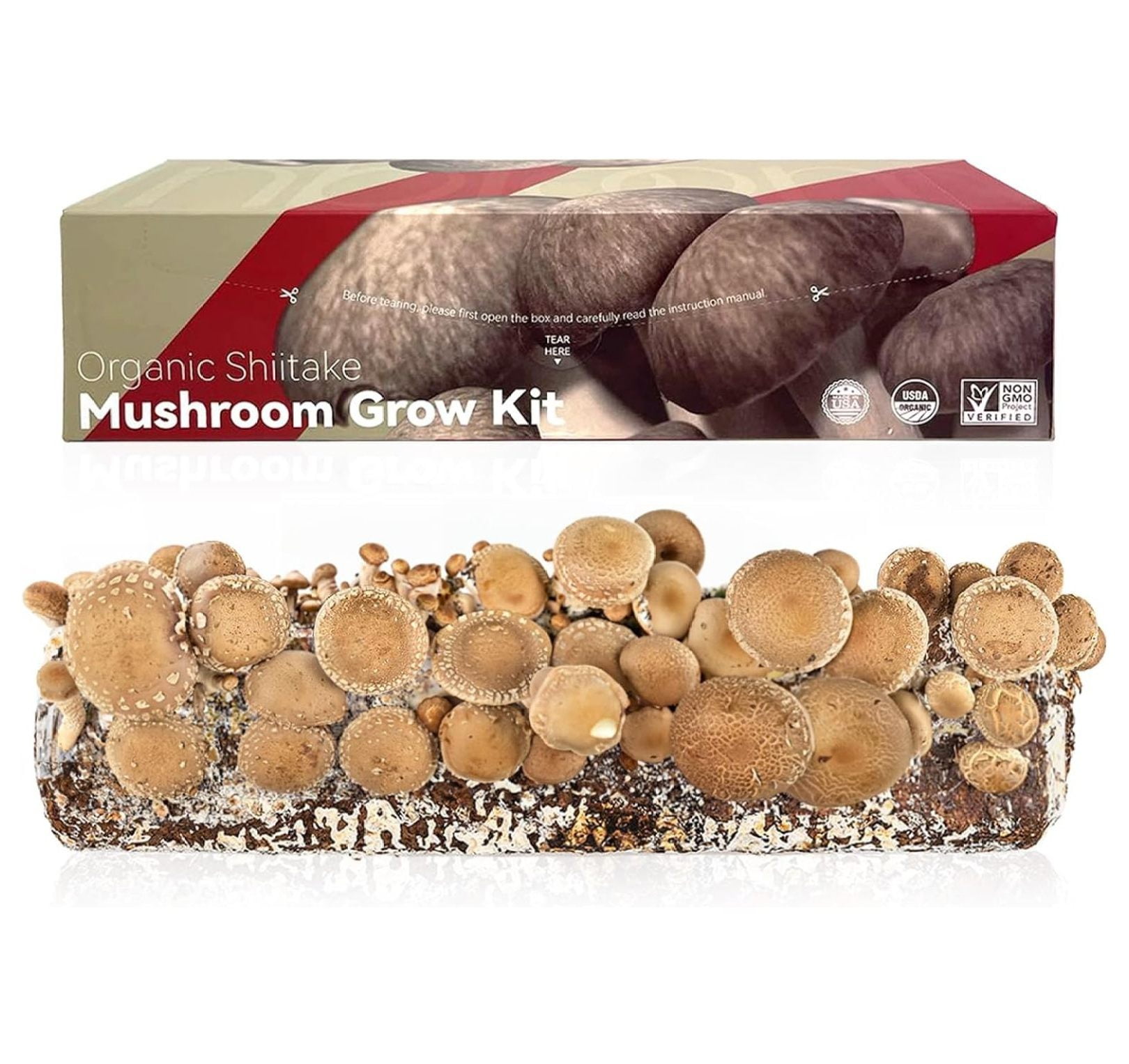Lwory Organic Shiitake Mushroom Grow Kit, Indoor Mushroom Kit Enlarged