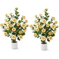 thumbnail image 1 of Lyacmy 3FT 2 Pack Yellow Camellia Artificial Tree in Pot, Artificial Plants Indoor Outdoor for Home Decor, 1 of 9