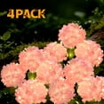 thumbnail image 1 of Lyacmy 4 Pack Pink Hydrangea Solar Garden Lights Outdoor, Waterproof Solar Lights for Yard Pathway Patio Outdoor Decor, 1 of 9