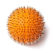 Lyapko Ball 4.0 Ag Applicator Massager