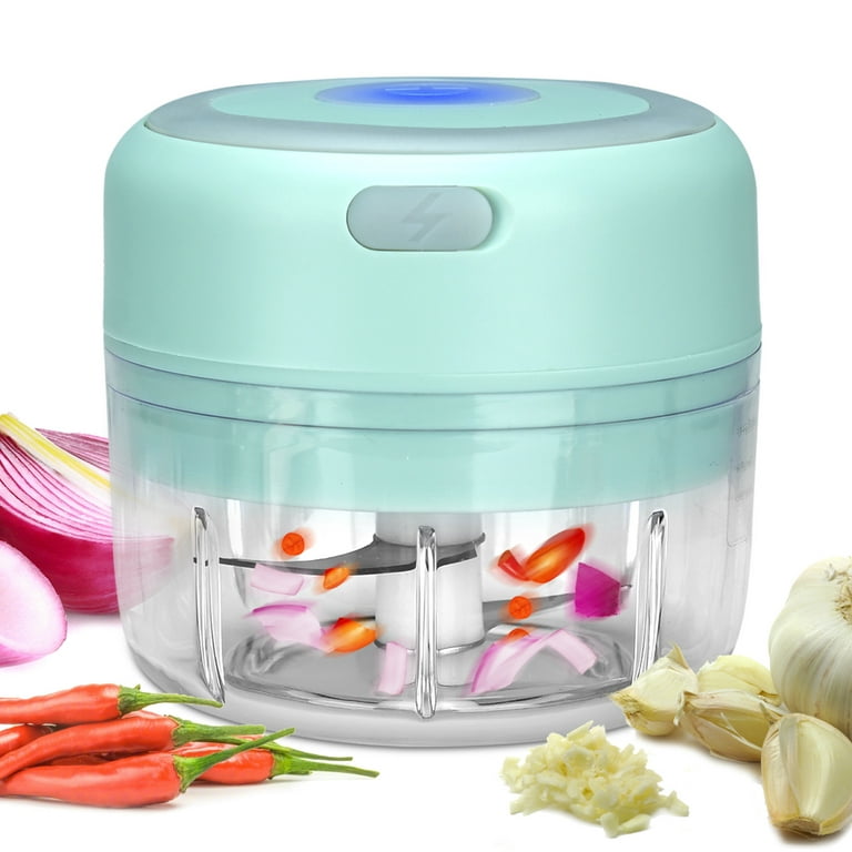 Lychee Electric Garlic Chopper Portable Food Processor Small Rechargeble  Mini Garlic Mincer for Dicing, Ginger, Chili, Fruits, Onions Pepper and  Baby