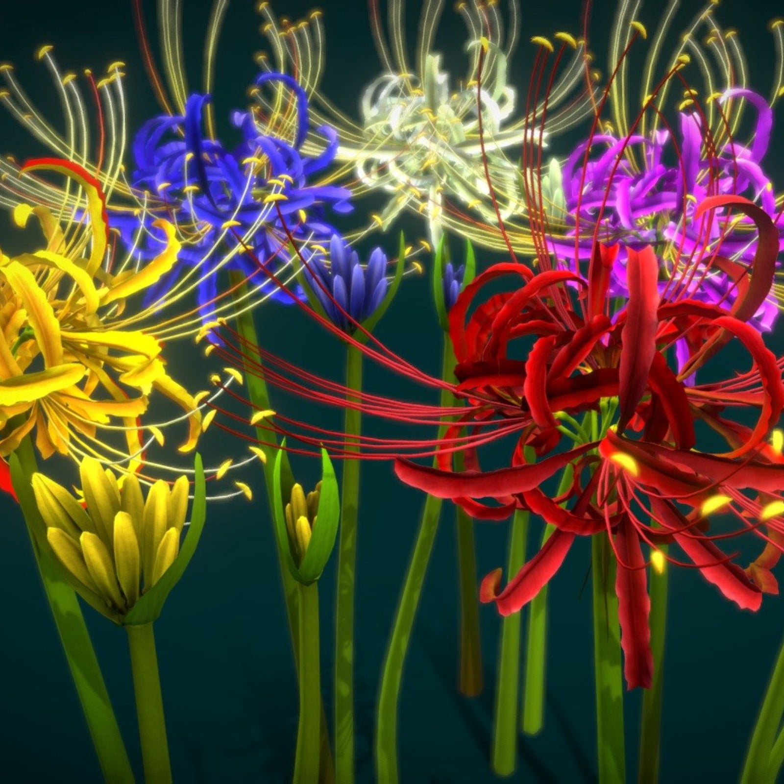 lycoris-beautify-environment-lycoris-root-spider-lycoris-perennial