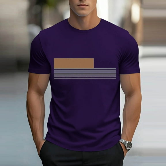 Lydiaunistar Men Summer Shirts Casual Short Sleeve Round Neck T-Shirt Fashion Outdoor Daily Wear Comfortable Cotton Blend Tee Purple XL