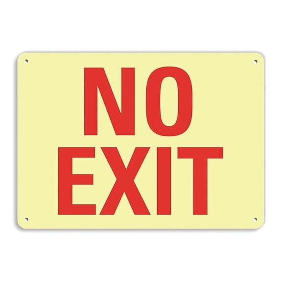 Lyle Exit Sign, Recycled Aluminum, 10" W, 7" H, No Exit, White LCU1-0007-GA_10x7