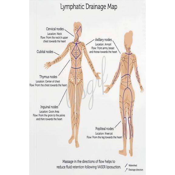 Lymphatic Drainage Map anatomy massage body flow guide wall home art poster
