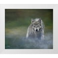 thumbnail image 1 of Lynnsy, B. 23x20 White Modern Wood Framed Museum Art Print Titled - Misty Wild I, 1 of 4