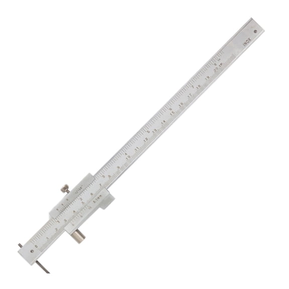 Lynono 200/300mm Double Scale Vernier Caliper Stainless Steel Construction For School Projects And Engineering Applications
