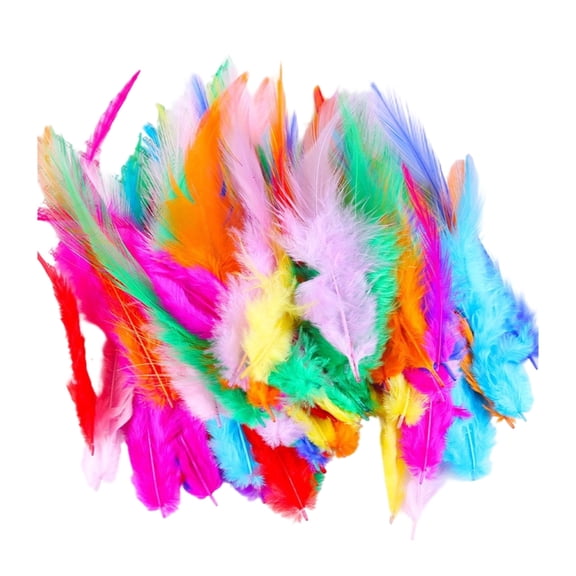 Lynono Co.,Ltd 100Pieces Craft Plumage With Rainbow Detail Home Decoration Fashion And Event Styling