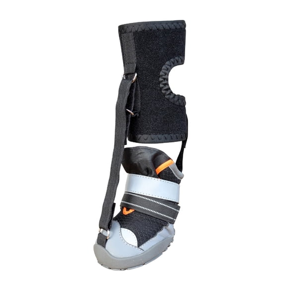 Lynono Fashion Dog Shoe Recovery Boot Waterproof Pet Shoe Snow Rain Dog Recovery Boot For Daily Walks