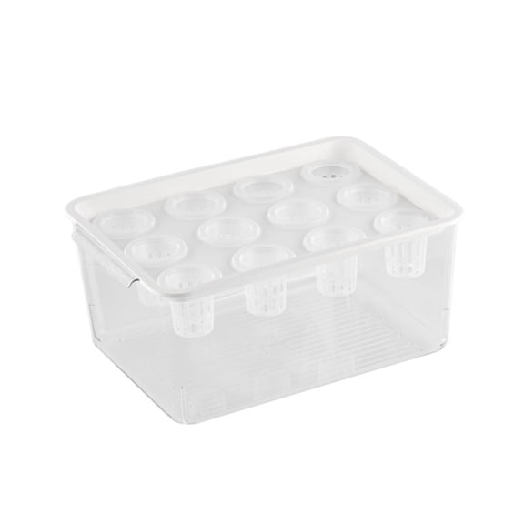 Lynono VisibleP1ast1cHydroponic Growing Box With Lid For Indoor Gardening And Growth Tracking