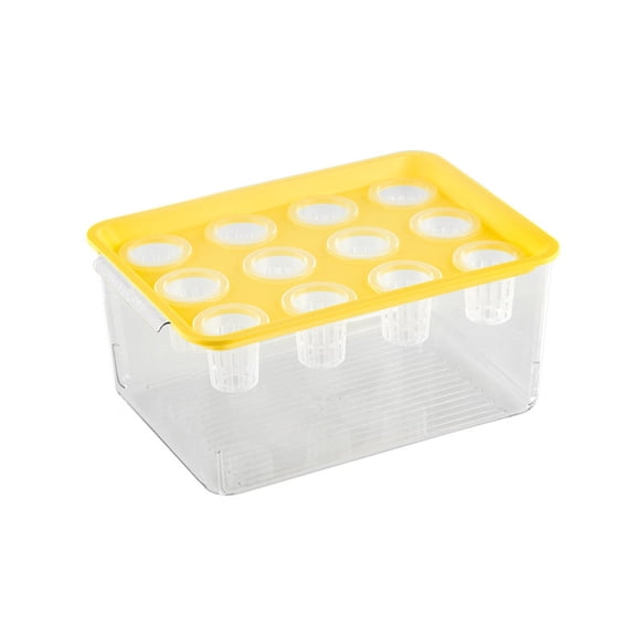Lynono VisibleP1ast1cHydroponic Growing Box With Lid For Indoor Gardening And Growth Tracking