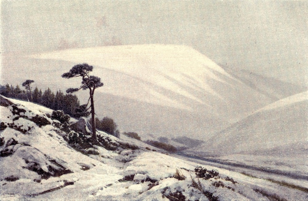 Lynton & Lynmouth 1919 Doone Valley in winter Canvas Art - Frederick J Widgery (24 x 36)