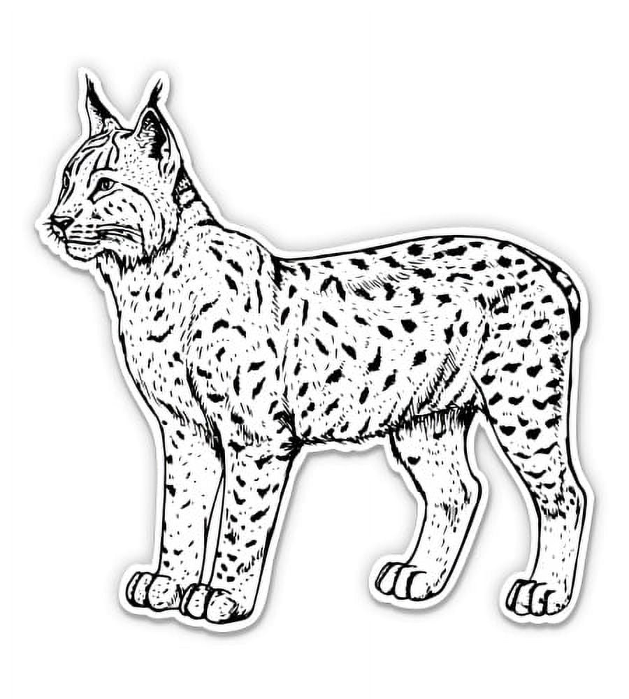 Lynx - 5