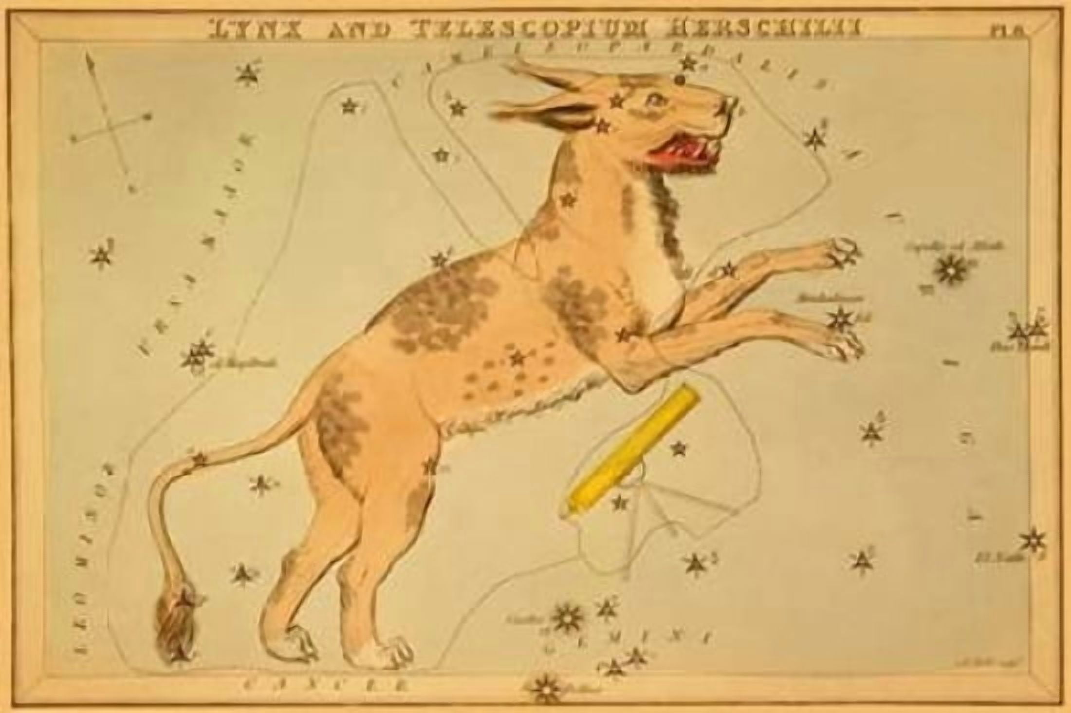Lynx and Telescopium Herschilii 1825 Canvas Art - Jehoshaphat Aspin (24 x 36)