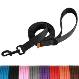 PLUTUS PET Double Handle Dog Leash 6ft Long Padded Traffic Handle Heavy Duty and Reflective Training Leash for Medium Large Dogs Green