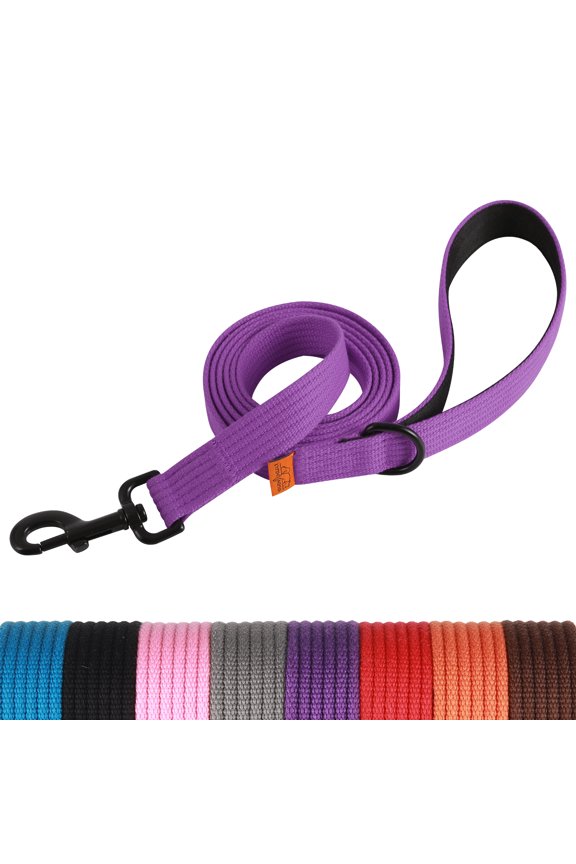 Webbing Dog Leash, 6 ft Dog Walking Lead with Padded Handle and Welded D-Ring for Large Medium Small Dogs