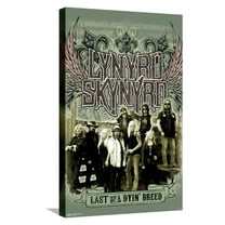 Lynyrd Skynyrd - Green Band Canvas Wall Poster, 14.725" x 22.375"