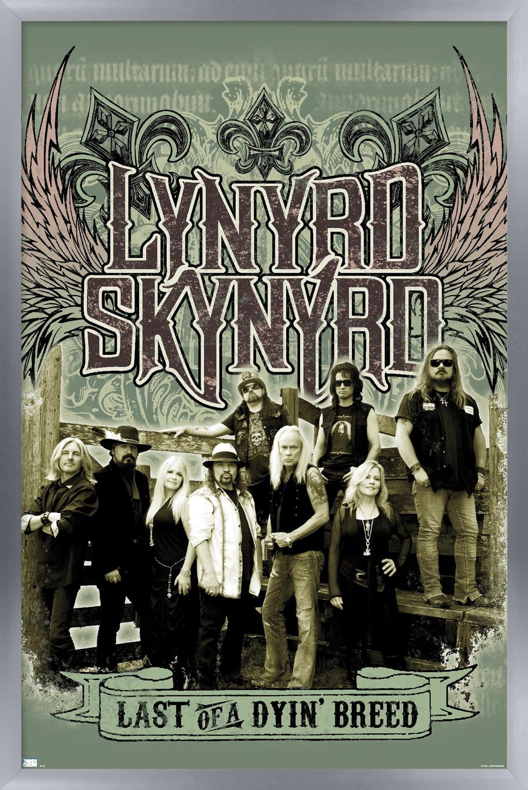 Lynyrd-Skynyrd-Green-Band-Wall
