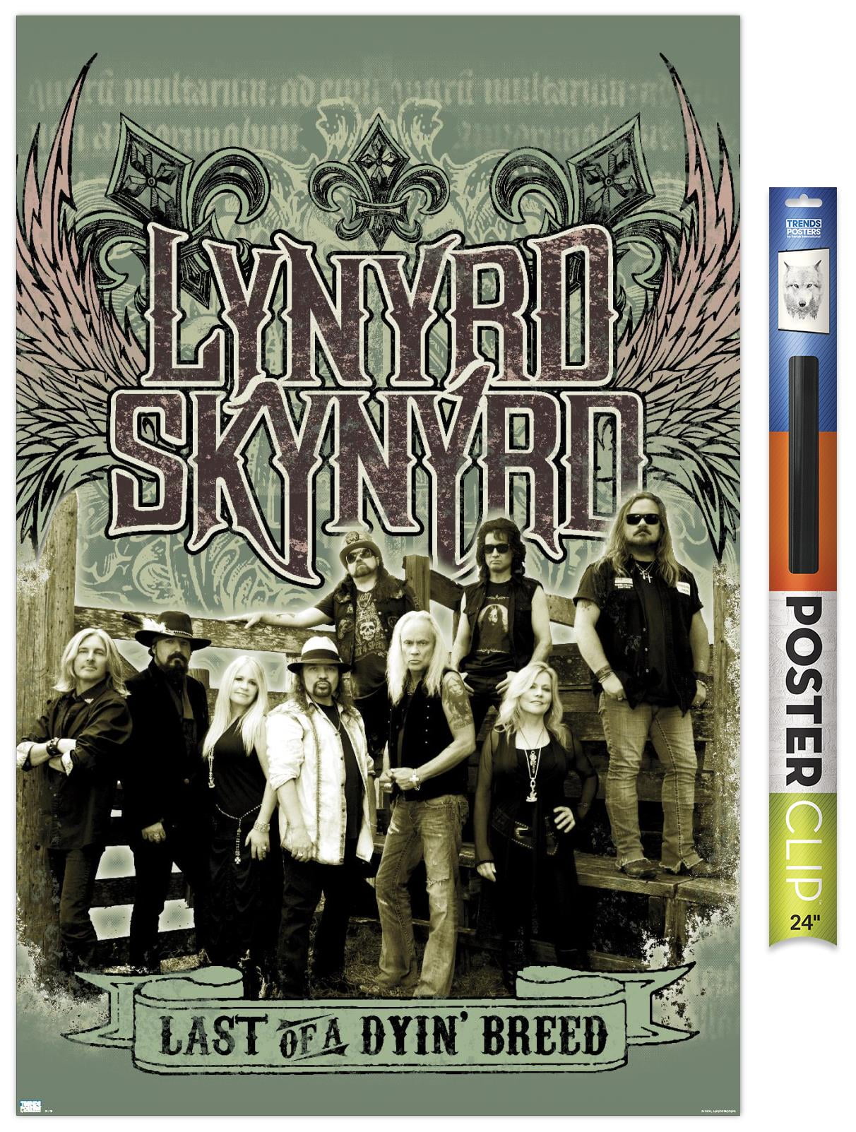 Lynyrd Skynyrd - Green Band Wall Poster, 22.375