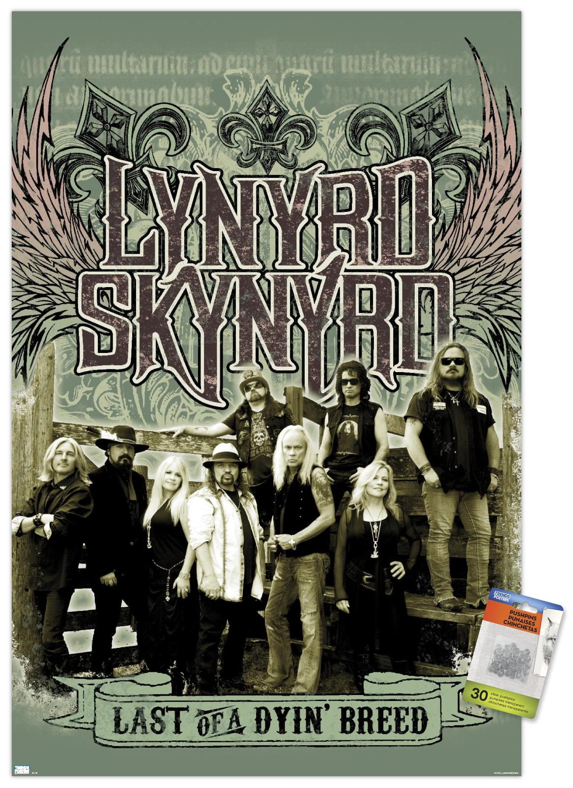 Lynyrd-Skynyrd-Green-Band-Wall