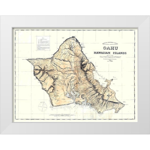 Lyons 24x19 White Modern Wood Framed Museum Art Print Titled - Oahu County Hawaii - Lyons 1881
