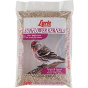 Lyric 2647445 Sunflower Kernels - 5 lb.