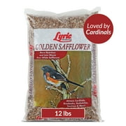 Lyric Golden Safflower Wild Bird Seed - Attracts Woodpeckers Cardinals - 12 lb. Bag
