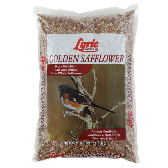 Lyric Golden Safflower Wild Bird Seed - Attracts Woodpeckers & Cardinals - 5 lb. Bag