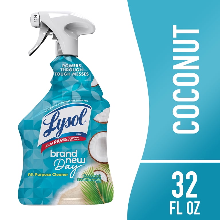 Lysol All-Purpose Cleaner 32oz Disinfects Viruses Bacteria Soap