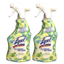 Lysol Bathroom Cleaner - Trigger Island Breeze 32 Oz. (Pack of 6)