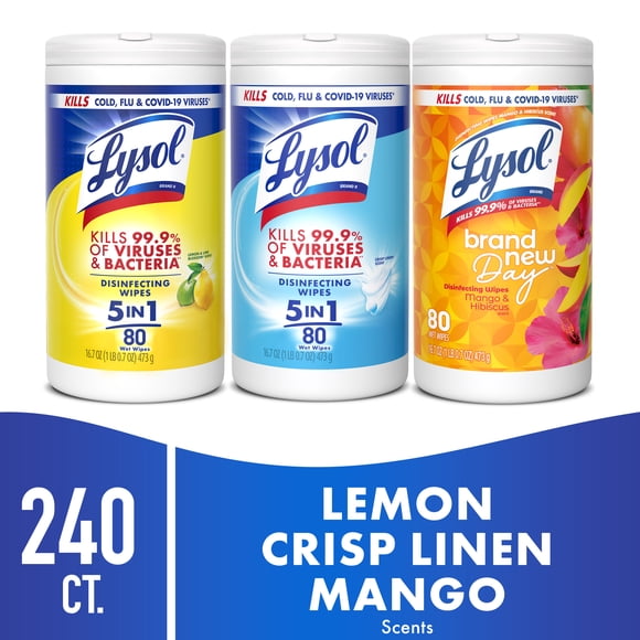 Lysol Disinfectant Wipes Bundle, Multi-Surface Antibacterial Cleaning Wipes, Assorted Variety Pack, 80 Count Each (Pack of 3)