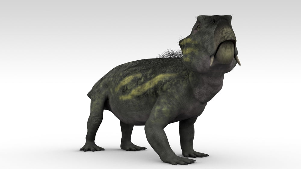 Lystrosaurus a therapsid from the Permian and Triassic period Canvas Art - Kostyantyn IvanyshenStocktrek Images (19 x 11)