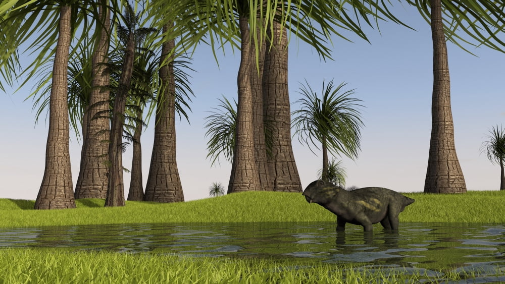 Lystrosaurus in shallow water Canvas Art - Kostyantyn IvanyshenStocktrek Images (19 x 11)
