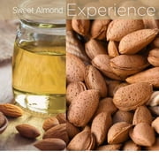 Lyte Ultra Sheer Body Butter Sweet Almond 8oz, 32oz, Gallon | Cuccio Naturale