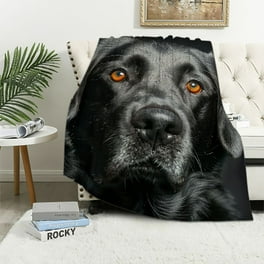 Cuddl duds dog blanket hotsell