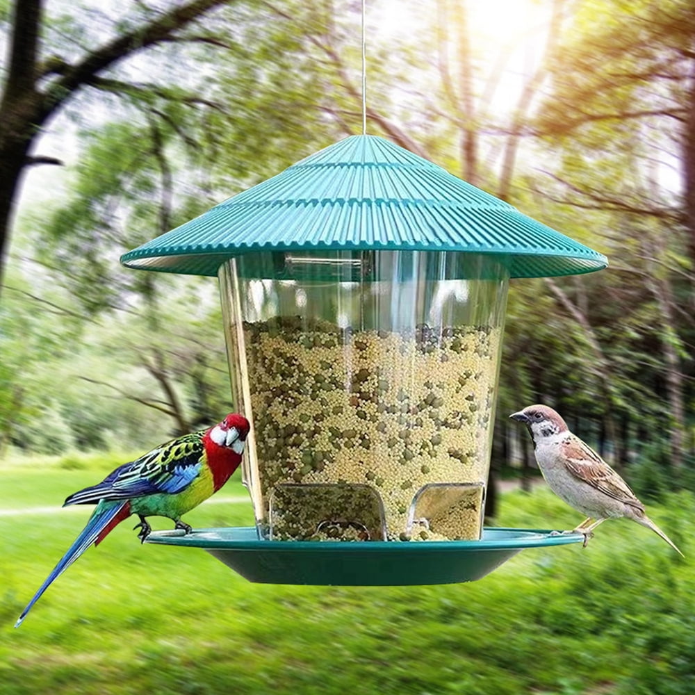 Cómo atraer a las aves a tu jardín  Bird feeding station, Backyard birds  feeders, Bird feeders