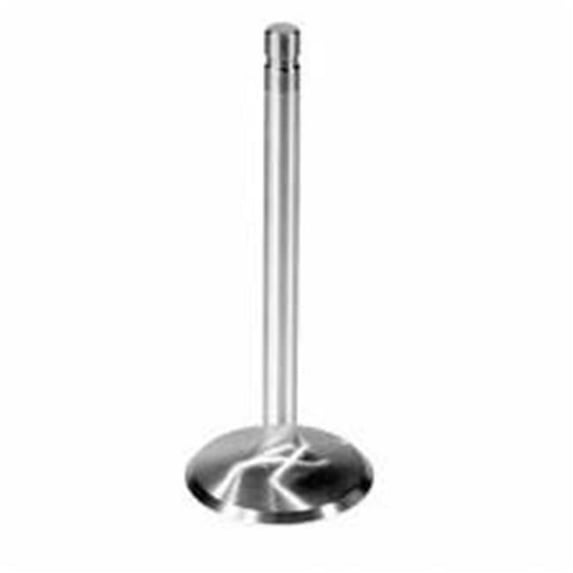 M-6507-A304 Intake Valve for 1975-1979 B-100